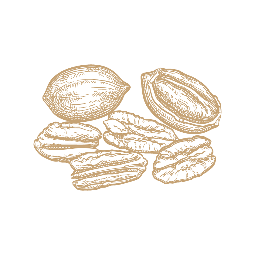 Southern Pecan Coffee — Whole Bean